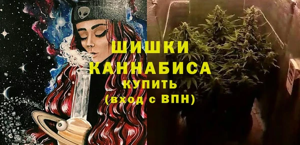 прущий лед Бородино