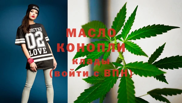 прущий лед Бородино
