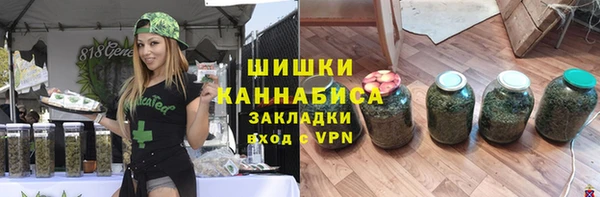прущий лед Бородино