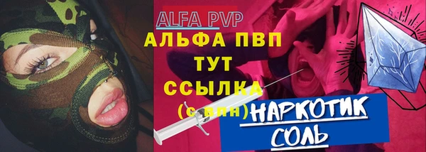 прущий лед Бородино