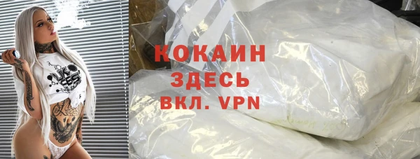 прущий лед Бородино